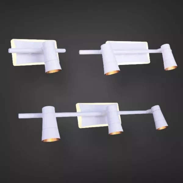 Đèn Chiếu Gương, Chiếu Tranh Kiểu Ngang Rg-805