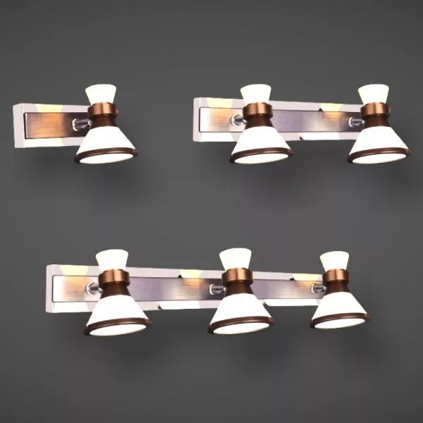 Đèn Chiếu Gương, Chiếu Tranh Kiểu Ngang Rg-814