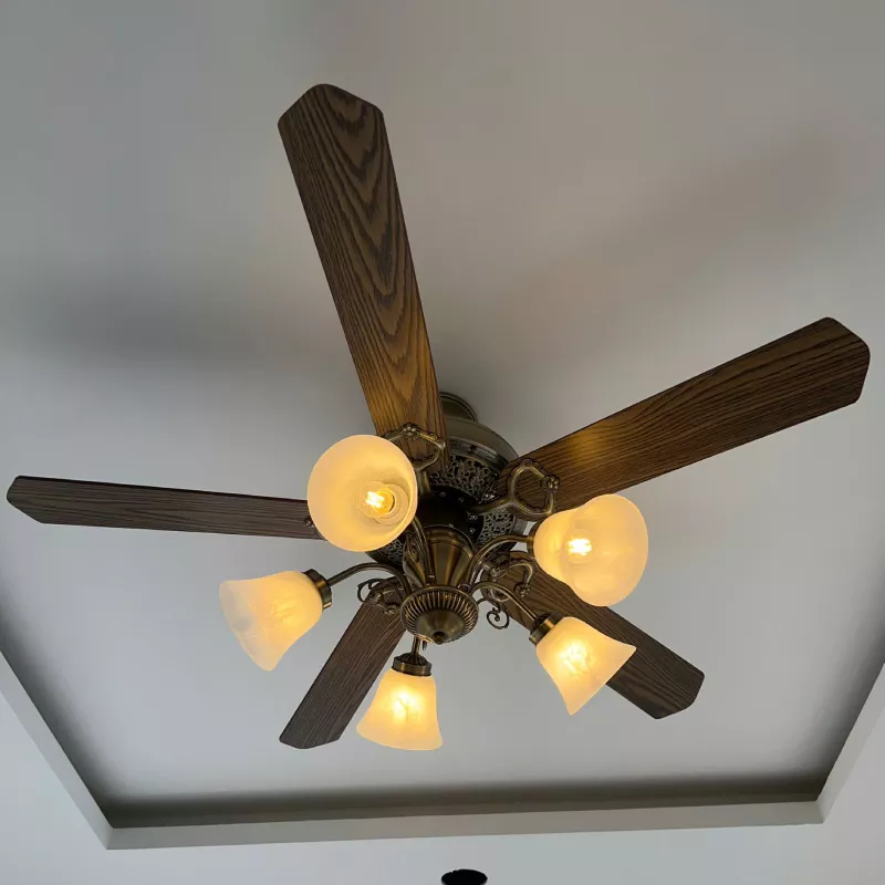 Quạt trần đèn, 5 cánh gỗ, thiết kế cổ điển QT-138 - Hình ảnh 4