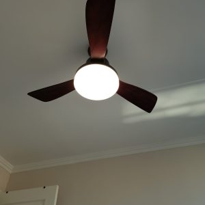Quạt Trần Đèn, Cánh Gỗ Màu Nâu Đậm, Thiết Kế Đơn Giản Hiện Đại QT-200