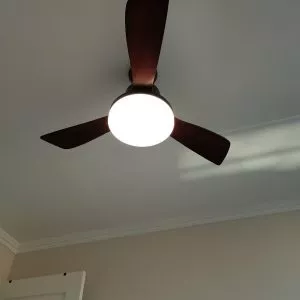 Quạt Trần Đèn, Cánh Gỗ Màu Nâu Đậm, Thiết Kế Đơn Giản Hiện Đại QT-200