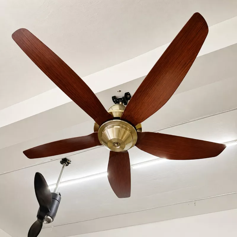 Quạt trần thiết kế 5 cánh nhựa tối giản, hiện đại QT-246 - Hình ảnh 3